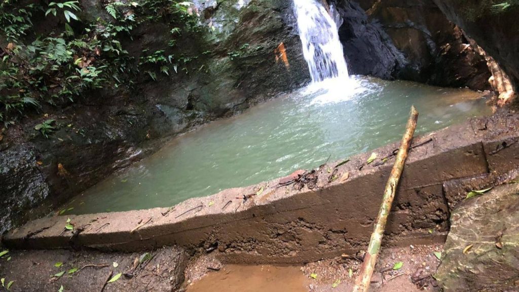 Imagen de cuerpo de nota