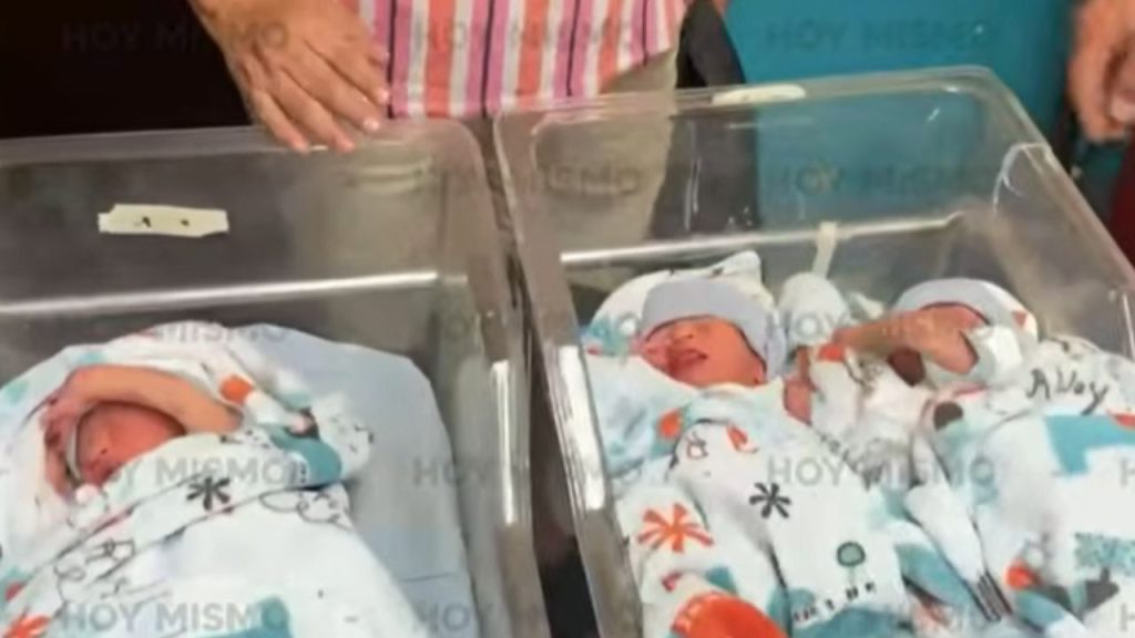 Imagen de cuerpo de nota