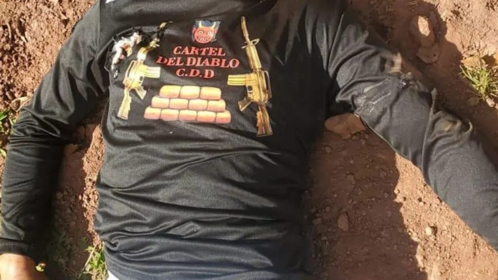 Imagen de cuerpo de nota