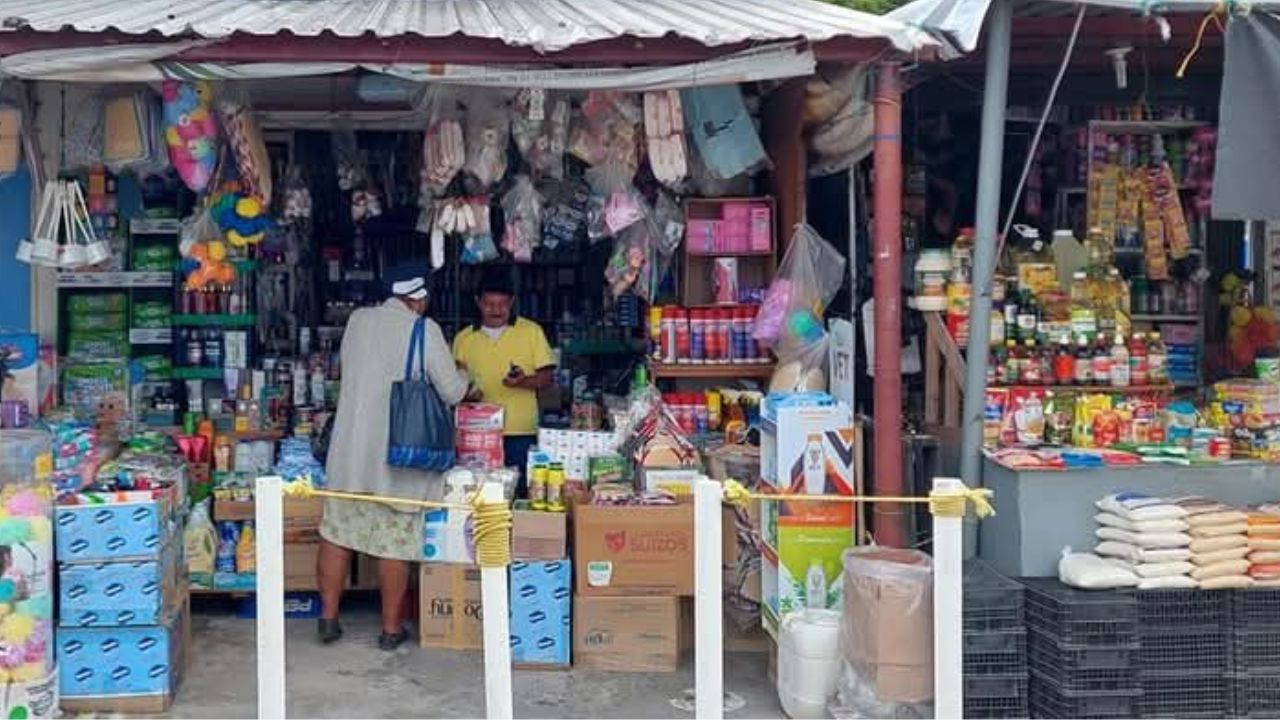 Imagen de subcategoria de Así afecta el aumento de los combustibles a la canasta básica