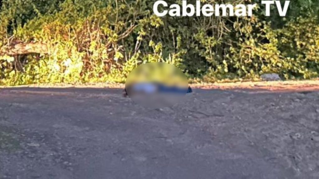 Imagen de cuerpo de nota