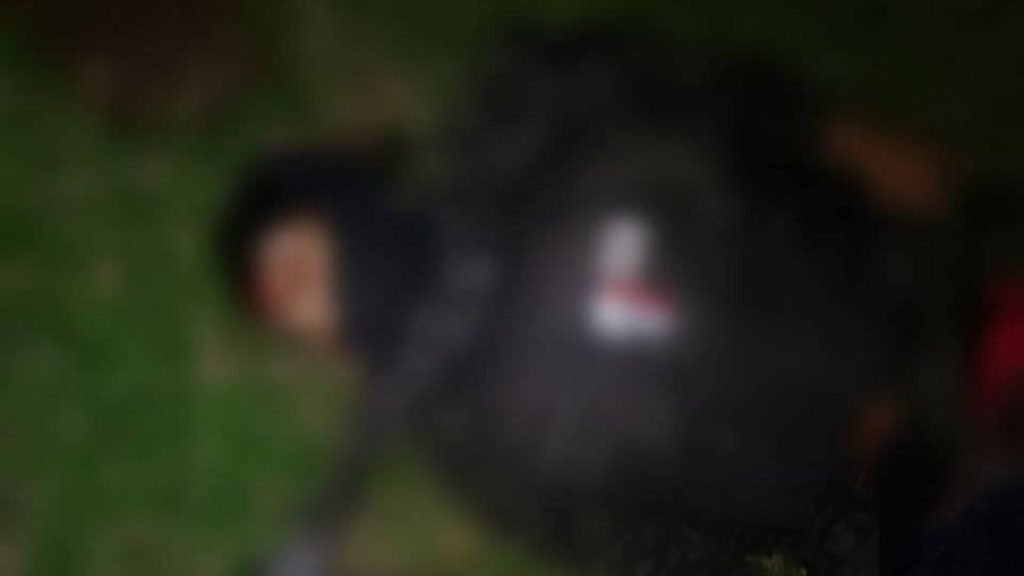 Imagen de cuerpo de nota