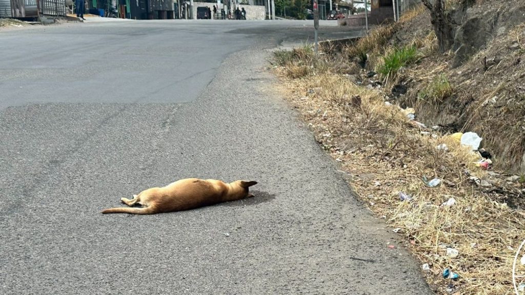 Imagen de cuerpo de nota