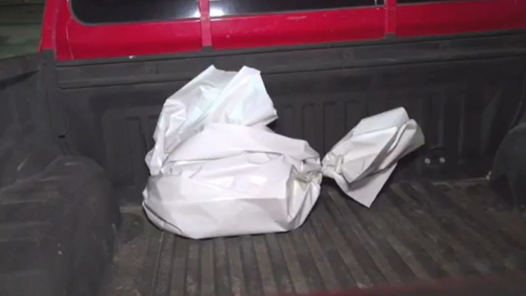 Imagen de cuerpo de nota