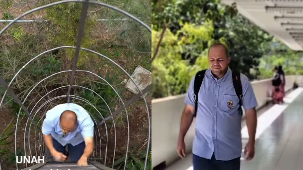 Imagen de cuerpo de nota