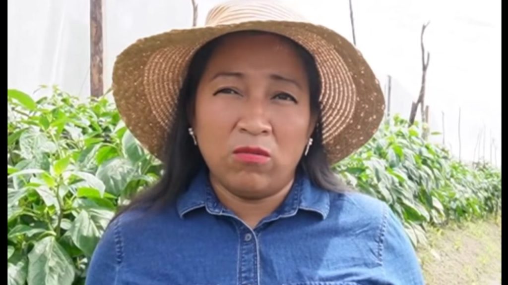 Imagen de cuerpo de nota