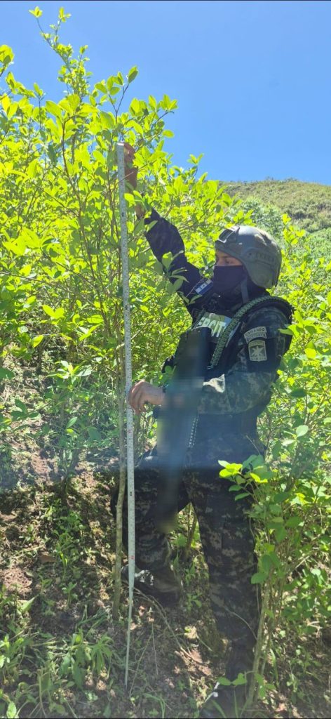 Imagen de cuerpo de nota