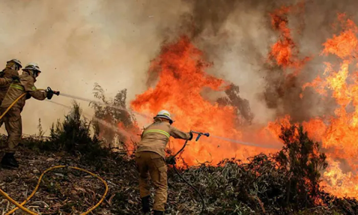 Foto de incendio forestal