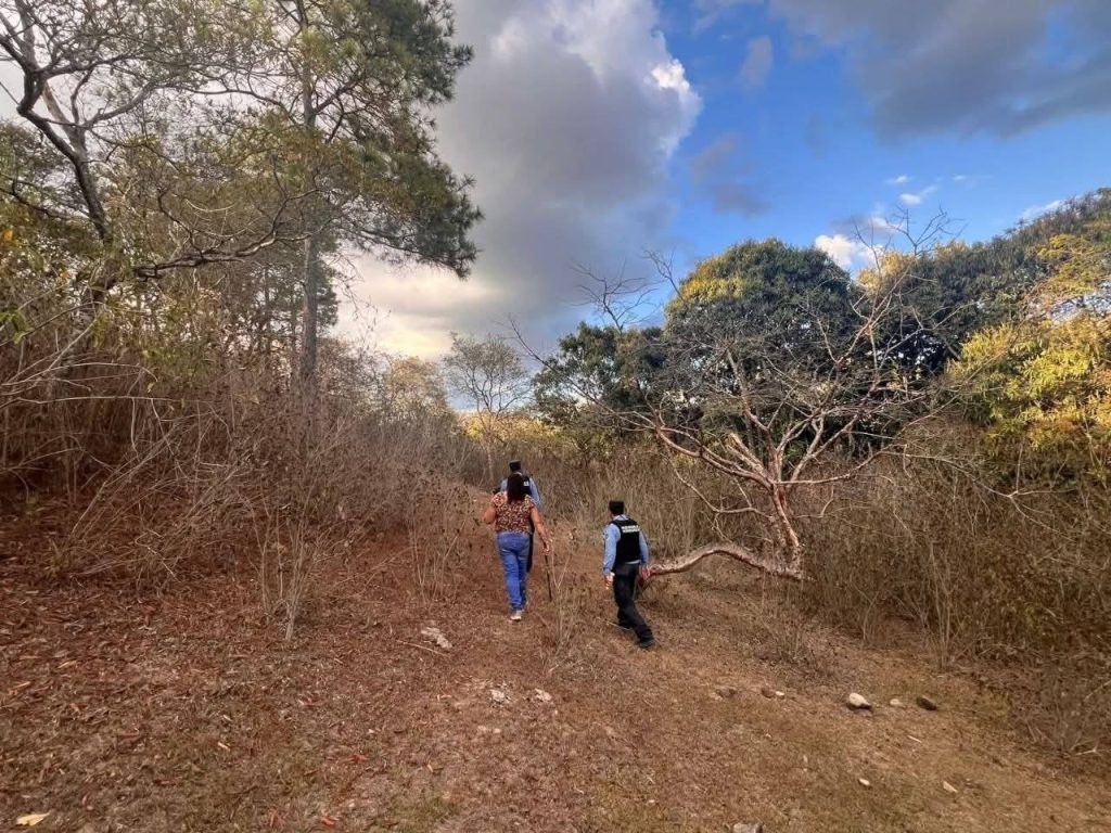 Imagen de cuerpo de nota