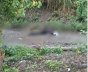 Imagen de cuerpo de nota