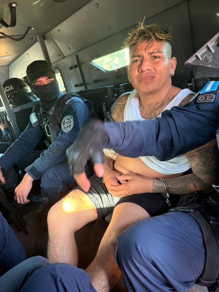 Imagen de cuerpo de nota