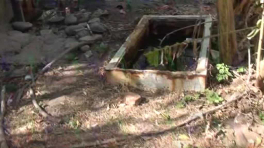 Imagen de cuerpo de nota