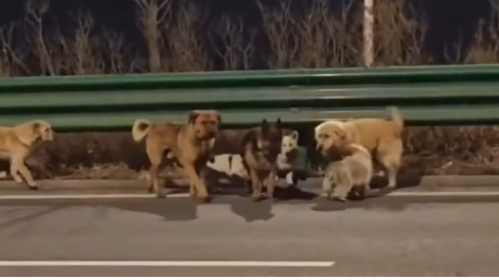 Imagen de cuerpo de nota