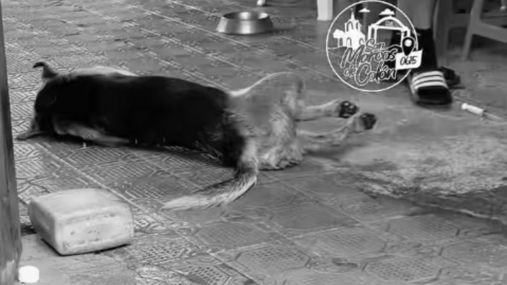 Imagen de cuerpo de nota