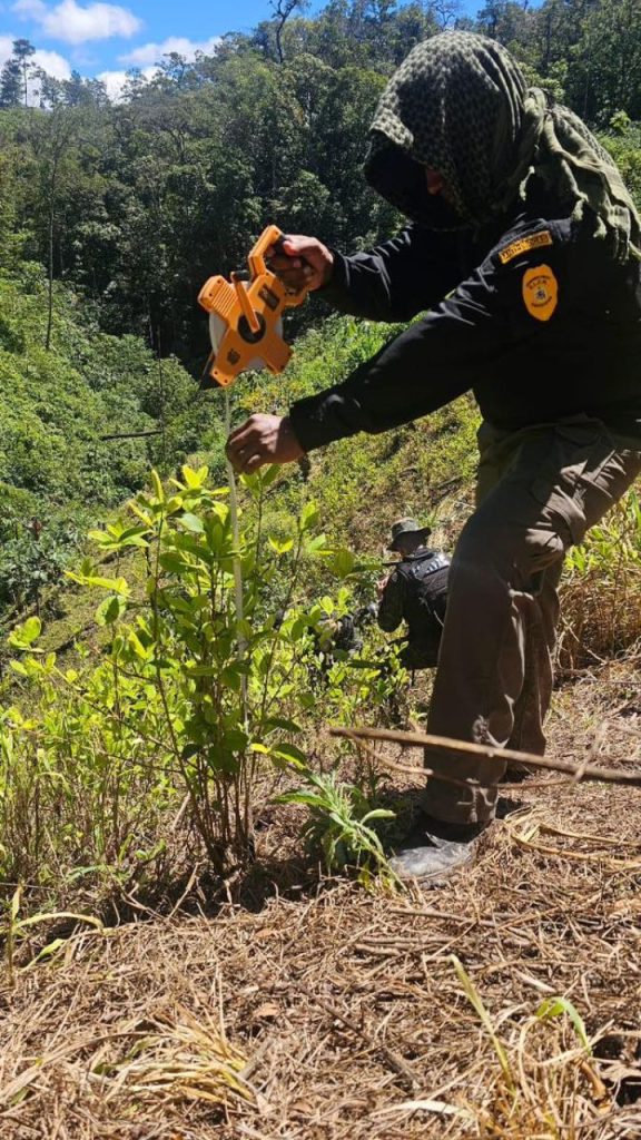 Imagen de cuerpo de nota