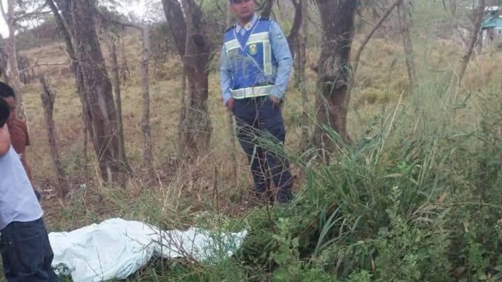 Imagen de cuerpo de nota