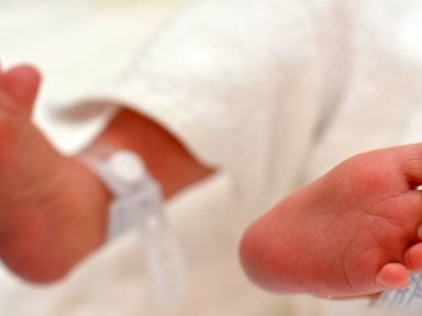 Imagen de Otro bebé es la víctima número nueve de la tosferina en Honduras en 2026