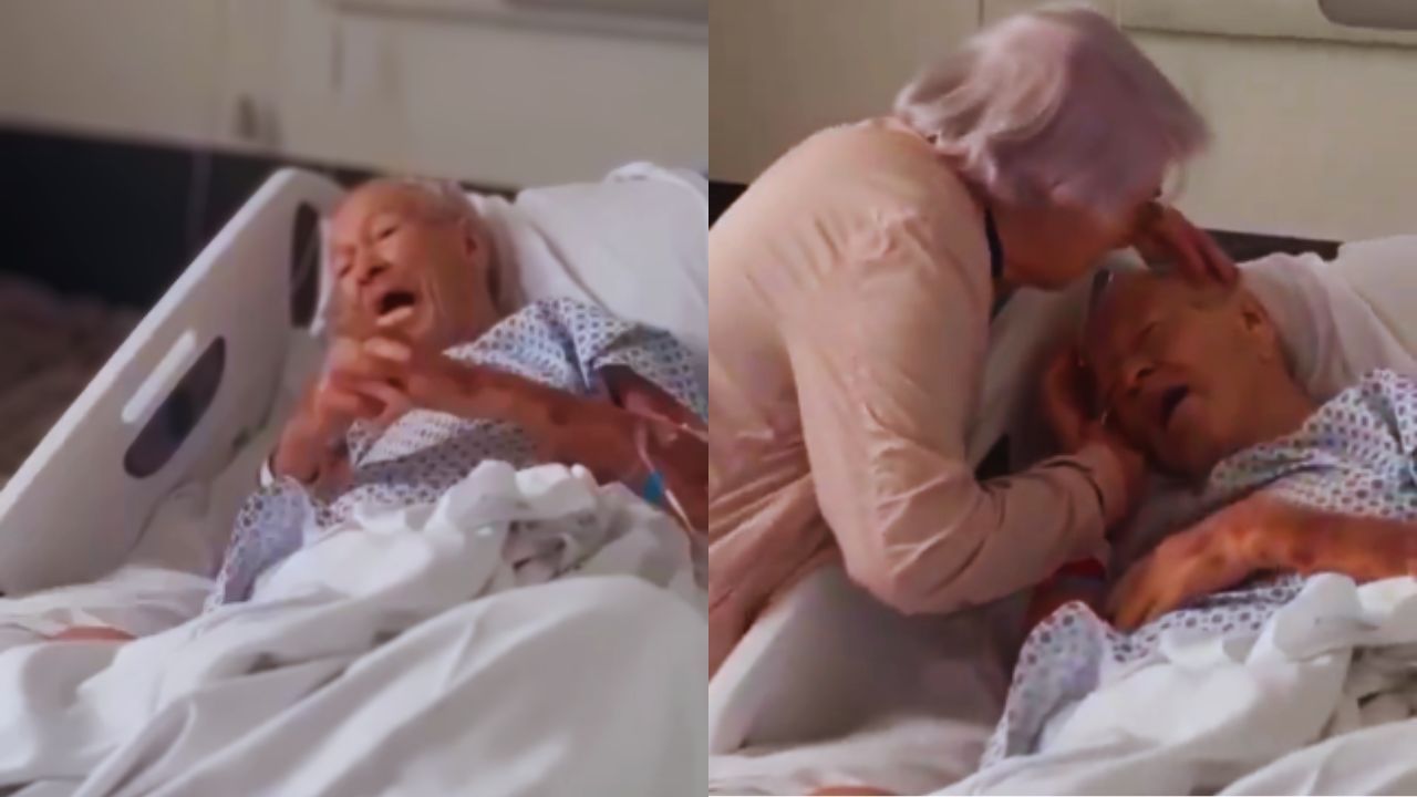 Vídeo | '¡Ay, mi amor!': Abuelito recibió el último beso de su esposa antes de morir Imagen principal de Vídeo | '¡Ay, mi amor!': Abuelito recibió el último beso de su esposa antes de morir