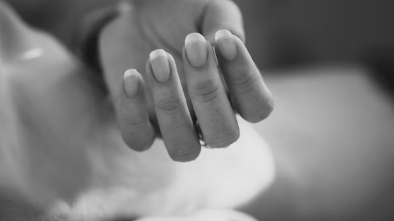 Imagen de 'Originaria de Tegucigalpa': Honduras reporta la primera muerte por miasis en 2026