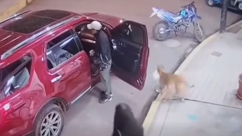 Imagen de cuerpo de nota