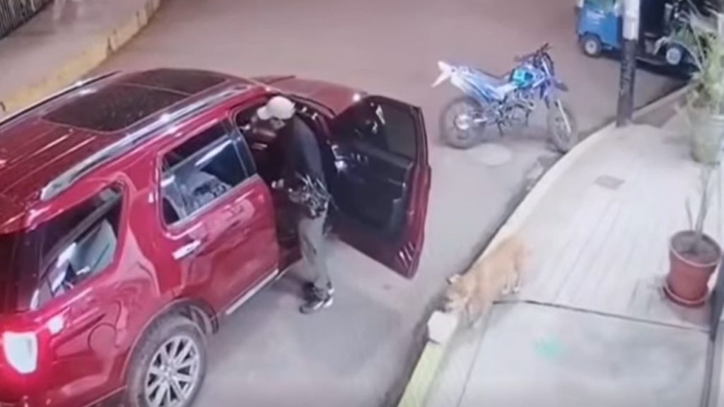 Imagen de cuerpo de nota