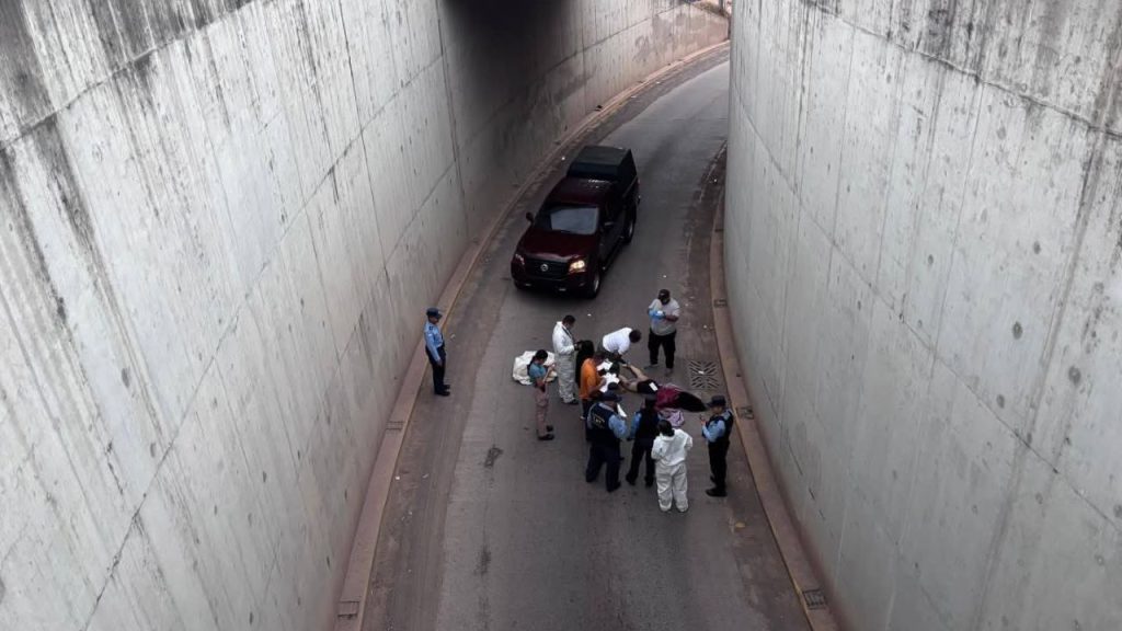 Imagen de cuerpo de nota