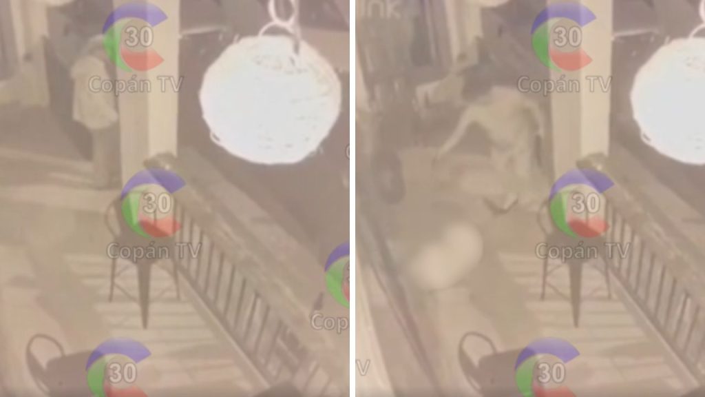 Capturas de pantalla del video