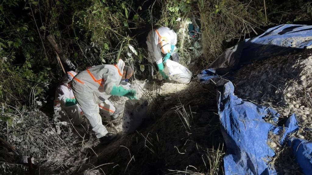 Imagen de cuerpo de nota