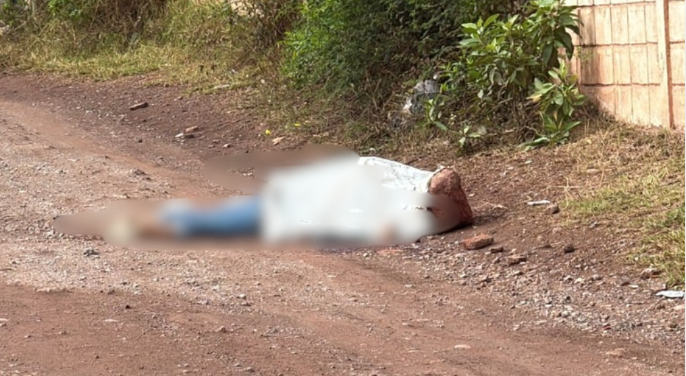 Imagen de cuerpo de nota