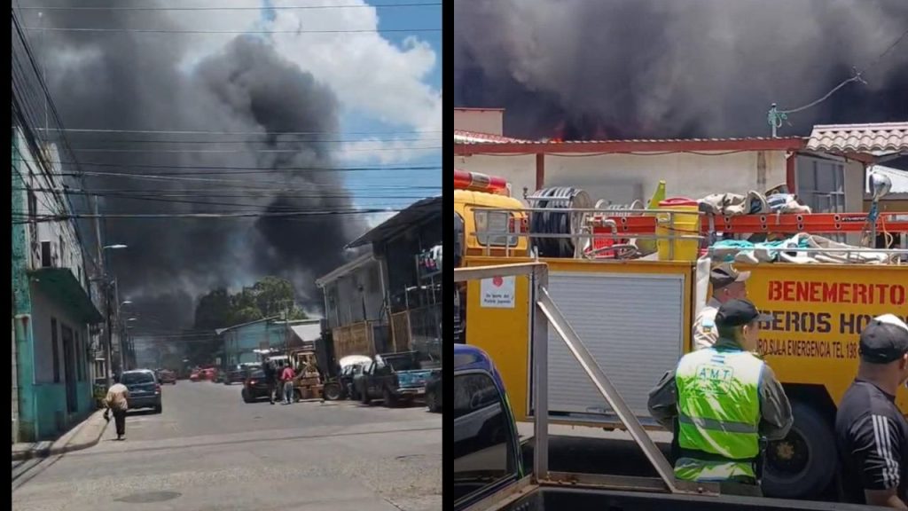 Imagen de cuerpo de nota