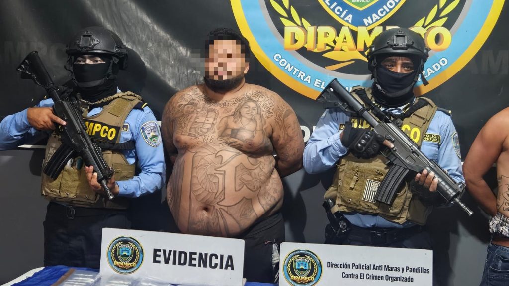 Imagen de cuerpo de nota