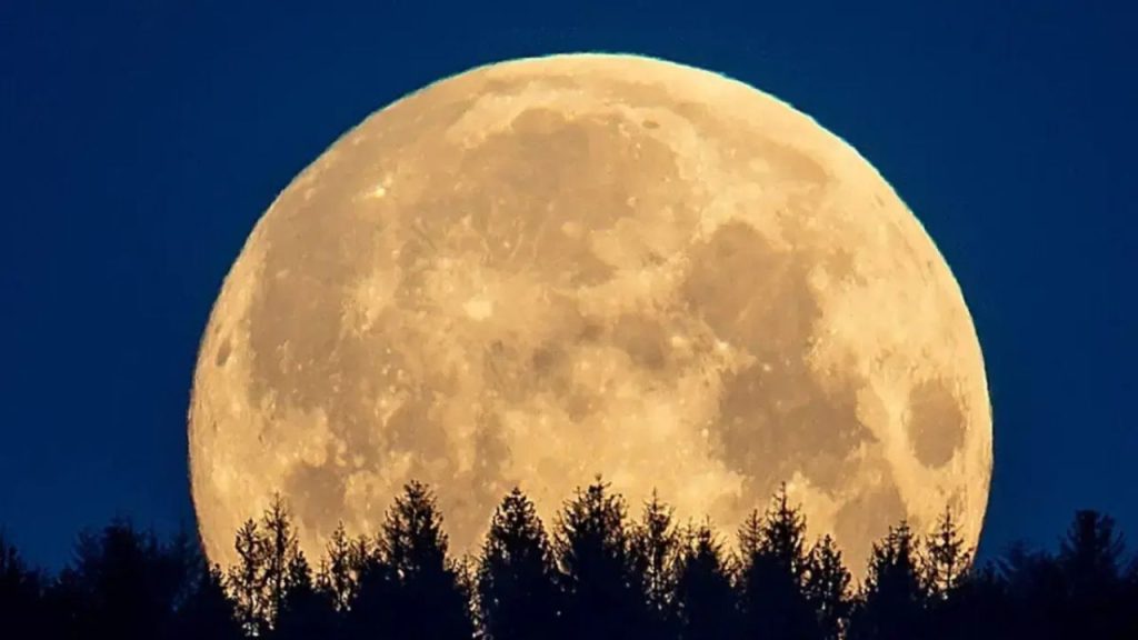 Imagen de cuerpo de nota