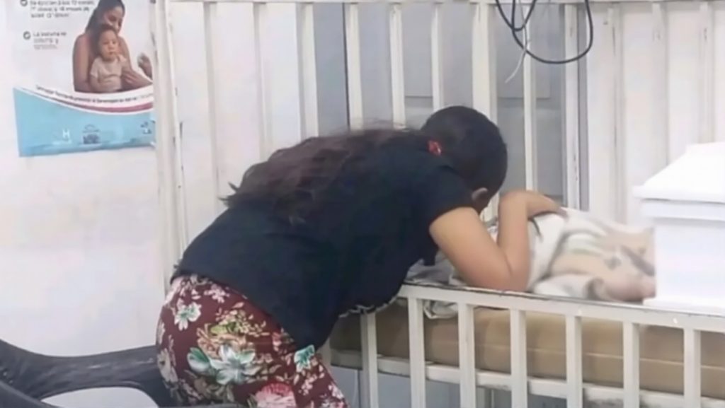 Imagen de cuerpo de nota