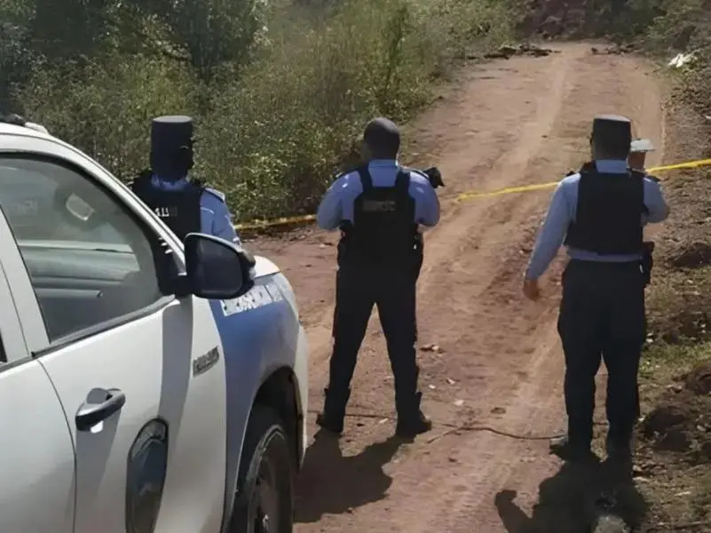 Imagen de cuerpo de nota