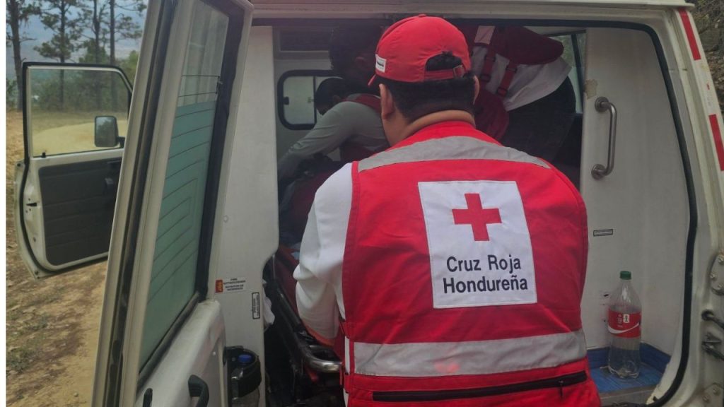 Imagen de cuerpo de nota