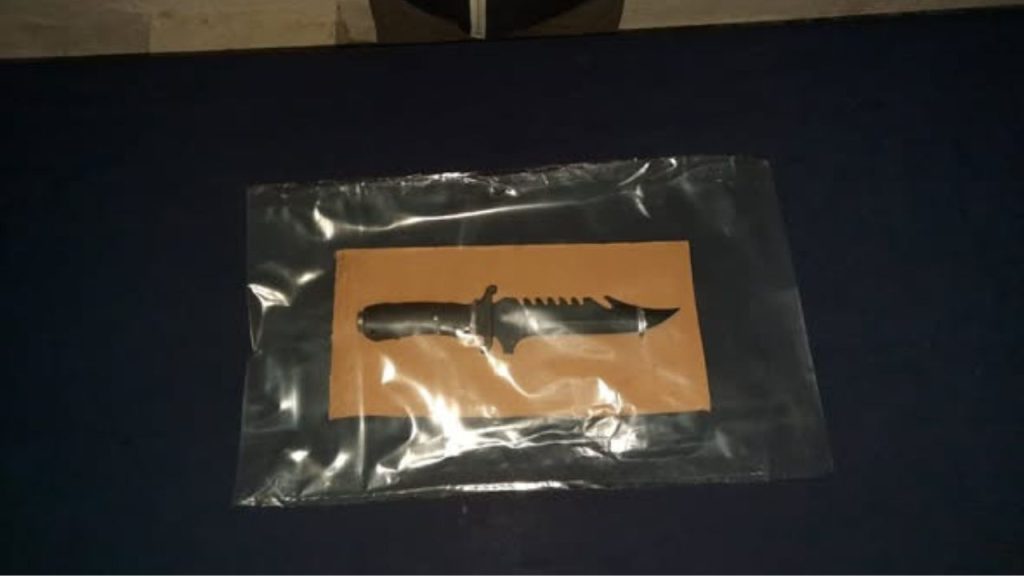 Imagen de cuerpo de nota