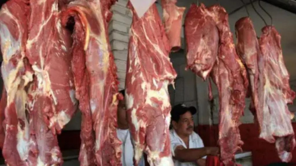 Imagen de cuerpo de nota