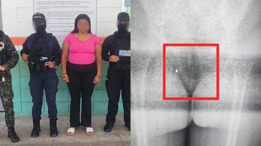 Imagen de cuerpo de nota