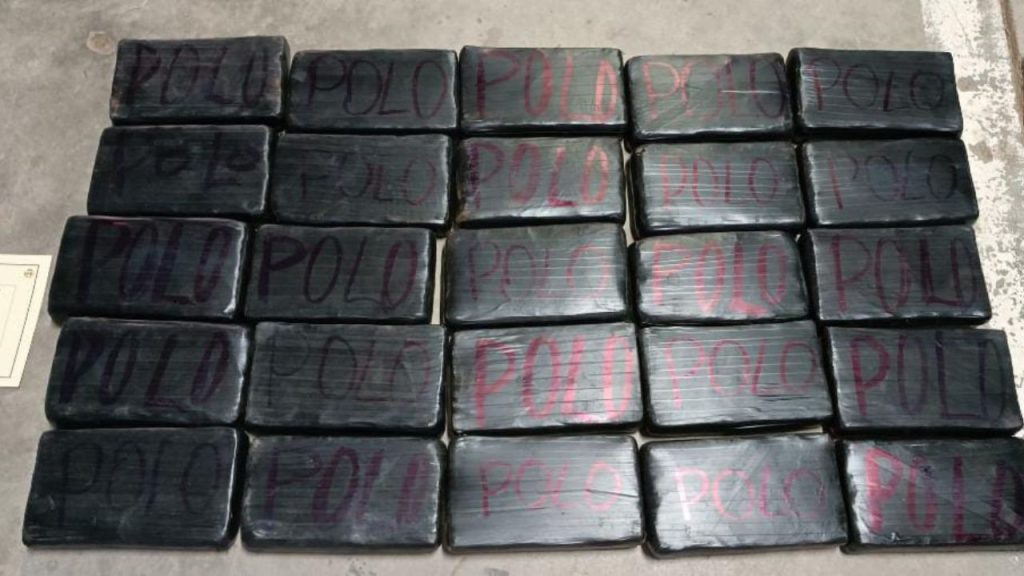 Imagen de cuerpo de nota