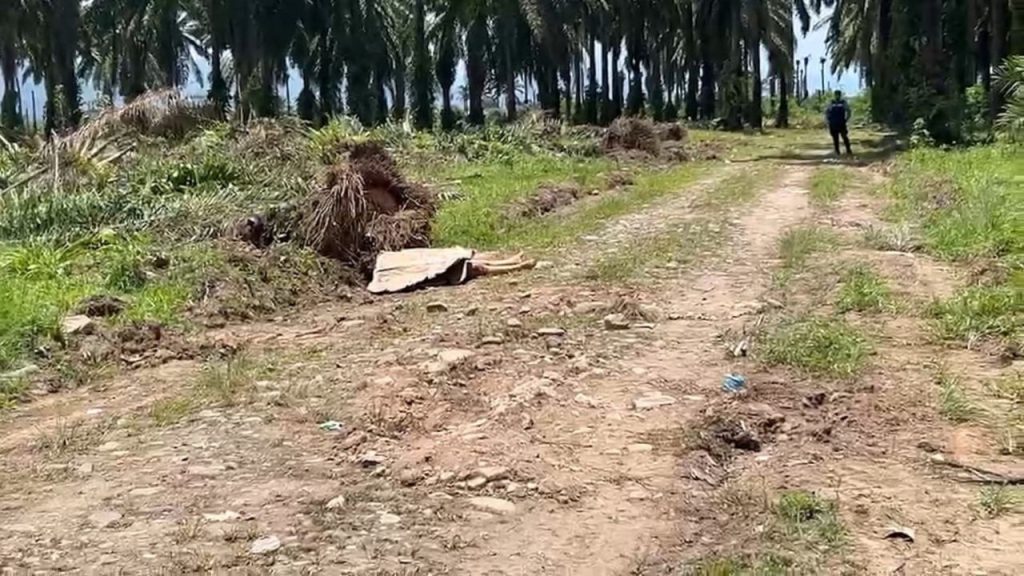 Imagen de cuerpo de nota