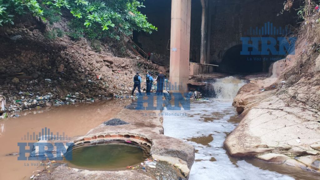 Imagen de cuerpo de nota