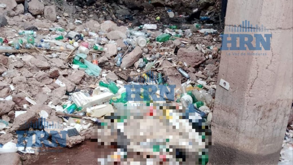 Imagen de cuerpo de nota