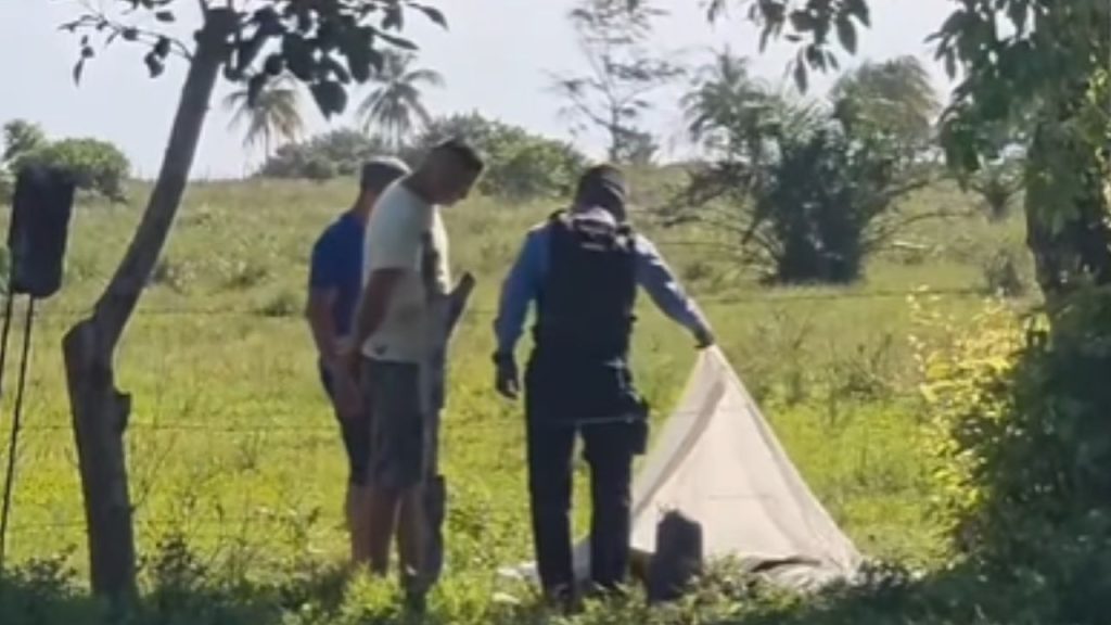 Imagen de cuerpo de nota