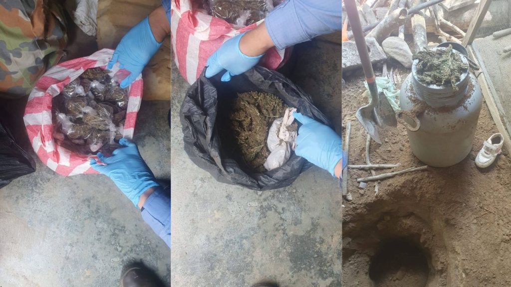 Imagen de cuerpo de nota