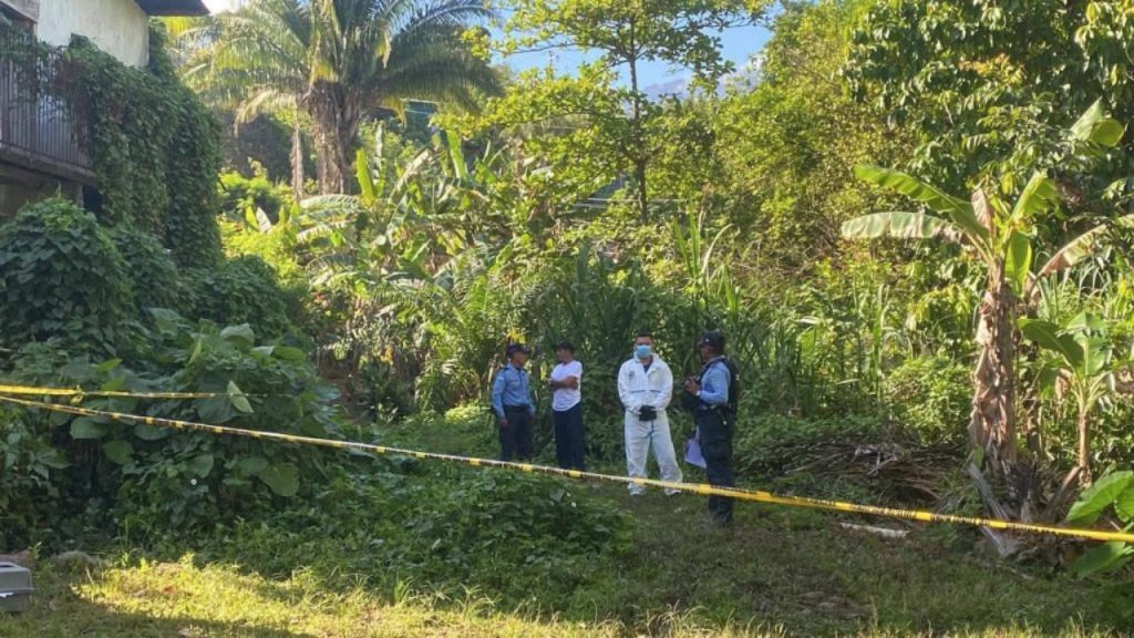 Imagen de cuerpo de nota