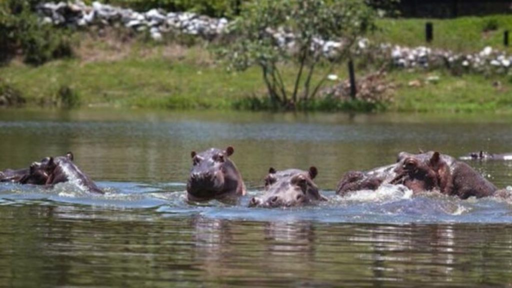 Imagen de cuerpo de nota