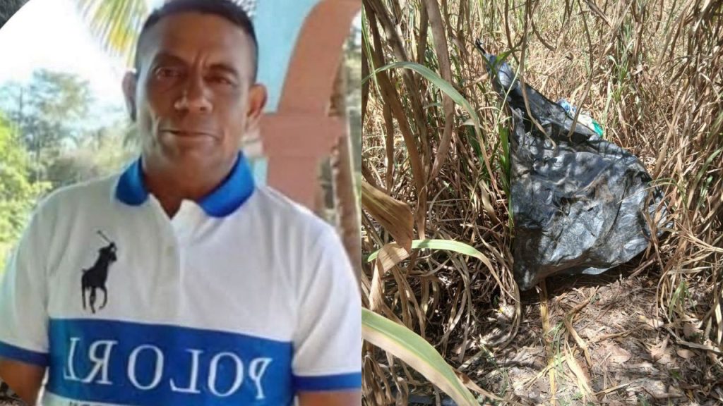 Imagen de cuerpo de nota