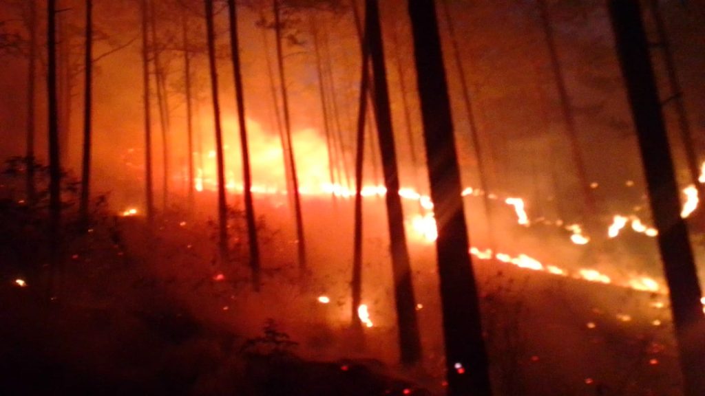 Lugar de un incendio