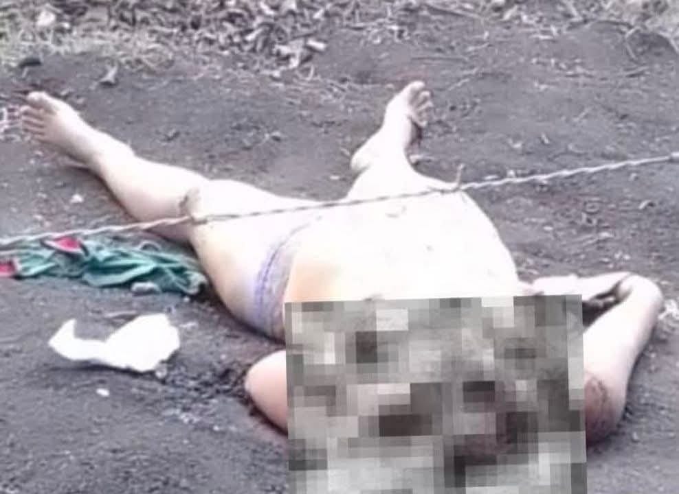 Imagen de cuerpo de nota