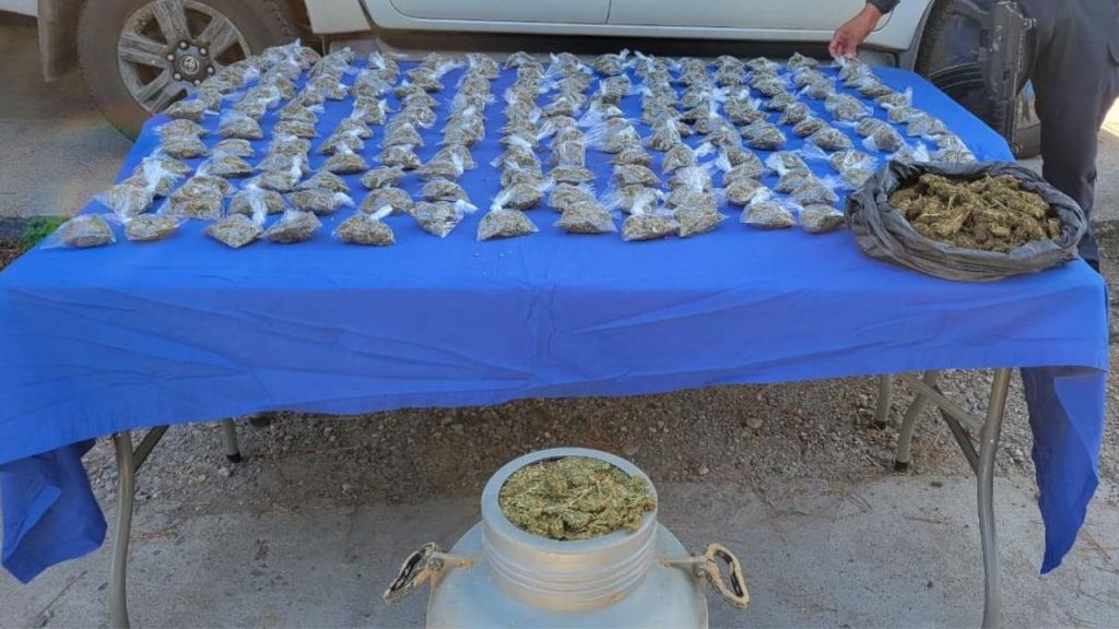 Imagen de cuerpo de nota